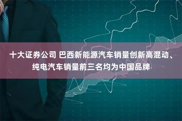 十大证券公司 巴西新能源汽车销量创新高混动、纯电汽车销量前三名均为中国品牌